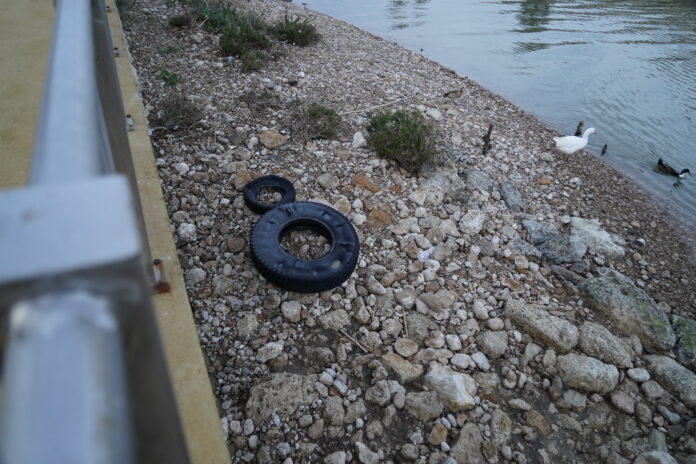 Foce del fiume Akragas, le anatre tra copertoni e spazzatura